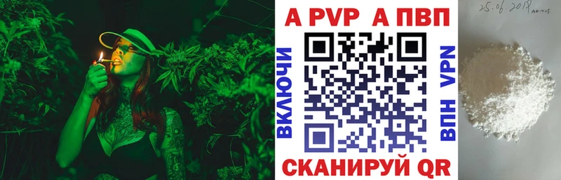 Alfa_PVP СК КРИС Светогорск