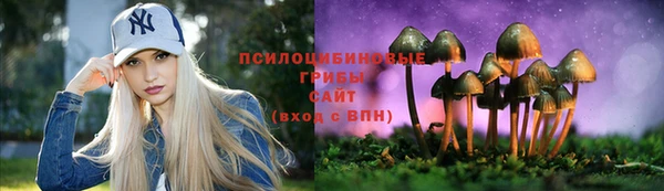 ALPHA-PVP Белокуриха