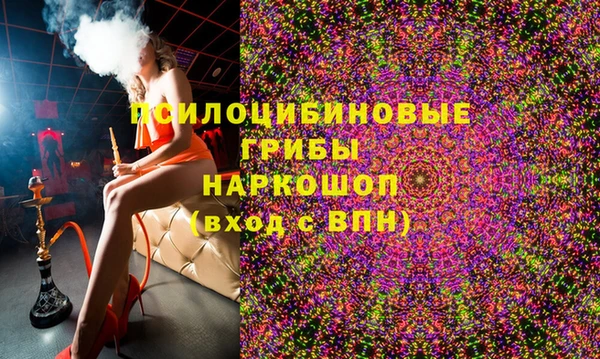 СК Богородицк